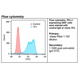 Rabbit anti-human PD-L1 Monoclonal Antibody Clone 7F2 