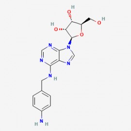 N-[(4-Aminophenyl)methyl]adenosine