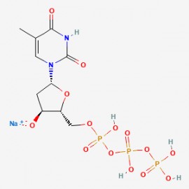 Deoxythymidine triphosphate