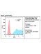 Rabbit anti-human PD-L1 Monoclonal Antibody Clone 8C6