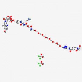 CL2A-SN-38 DCA 1279680-68-0(free base)