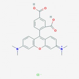 5-TAMRA chloride(91809-66-4 free base)