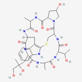 Phalloidin