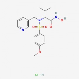 CGS 27023A