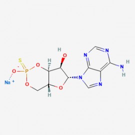 Rp-cAMPS sodium