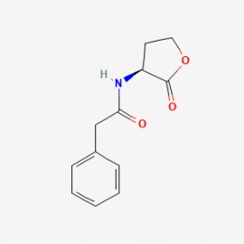 N-phenylacetyl-L-Homoserine lactone