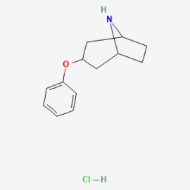 3-phenoxy-8-azabicyclo[3.2.1]octane HCl