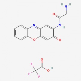 Questiomycin A derivatives 18 TFA