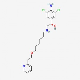 (+)-Picumeterol