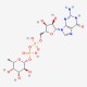 GDP-L-fucose