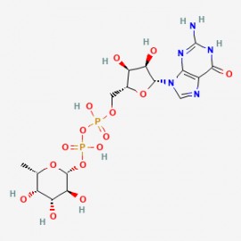 GDP-L-fucose