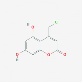 DNA polymerase-IN-1