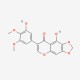 Dichotomitin