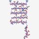 Epidermal Growth Factor