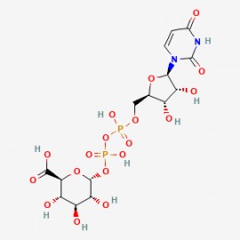 UDP-g acid