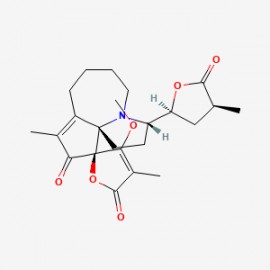 Protostemotinine