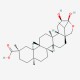 Orthosphenic acid