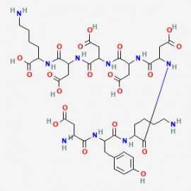 FLAG peptide