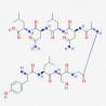 Carcinoembryonic Antigen CEA