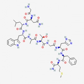 Neuromedin B