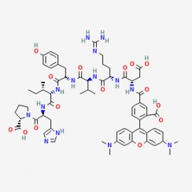 5-Tamra-DRVYIHP