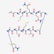 T7 Tag Peptide