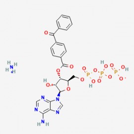 BzATP triethylammonium salt