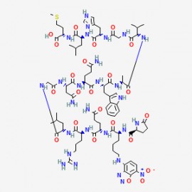 pGlu-K(-NBD)-Q-R-L-G-N-Q-W-A-V-G-H-L-M-N