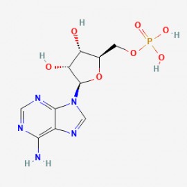 Adenosine monophosphate