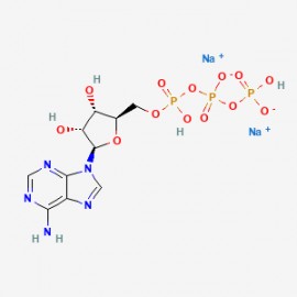 ATP disodium salt