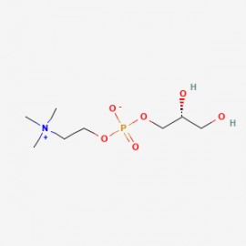 sn-Glycero-3-phosphocholine