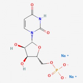 Uridine 5'-monophosphate disodium salt