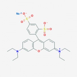 Sulforhodamine B sodium salt