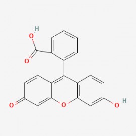 Fluorescein