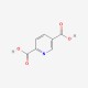 2,5-PYRIDINEDICARBOXYLIC ACID