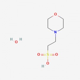 MES monohydrate