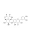 Quercetin 7-O-(6''-O-malonyl)-beta-D-glucoside