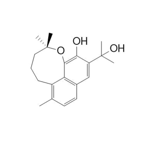 Isodon B