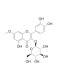 Rhamnetin 3-glucoside