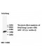 VPS26 Antibody