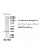 NUDT5 Antibody