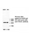 TRAIL Antibody