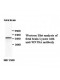 WNT8A Antibody