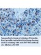 ZNF706 Antibody