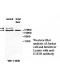 IGF2R Antibody