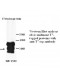T7 tag Antibody