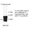 T7 tag Antibody