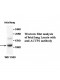 ACYP2 Antibody