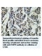 USP25 Antibody