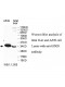 LIN28 Antibody